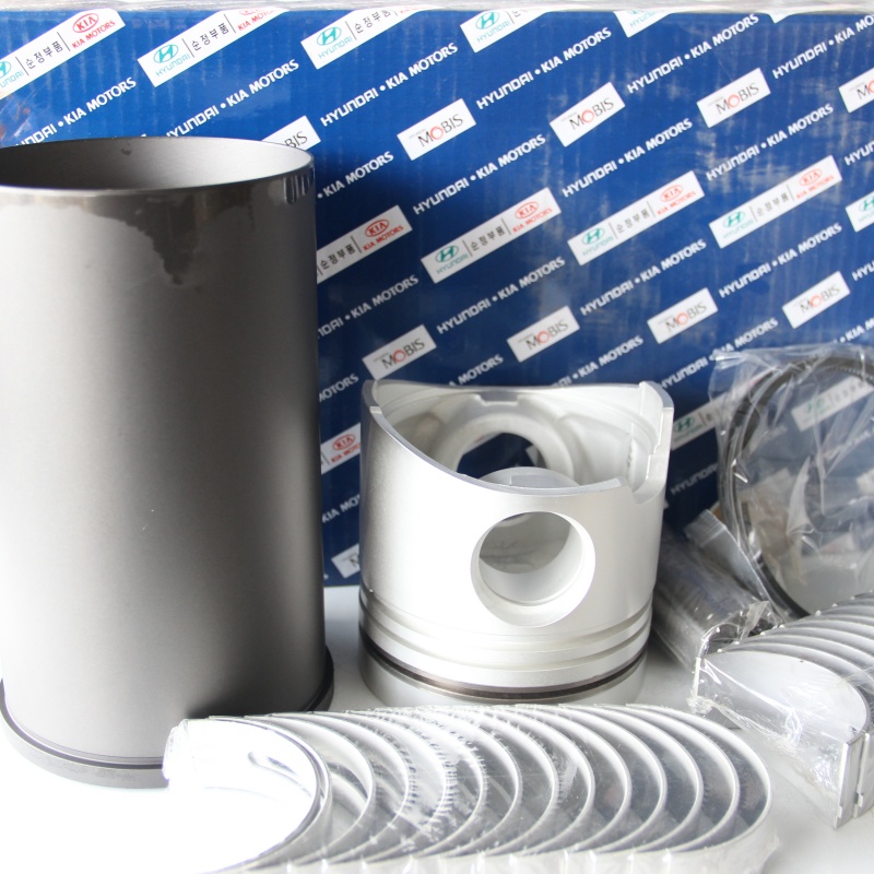 Hyundai equipment company HX190W B4.5 Overhaul Repair Kit Hyundai mining excavators