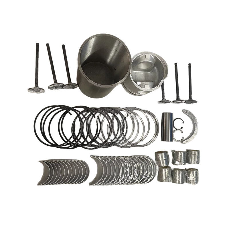 Mitsubishi 4D55 China Manufacturer Engine Overhaul Repair Kit Factory Piston Liner Kit Ring main bearing valve guide gasket kit Cylinder Block Cylinder Head assy Supplier