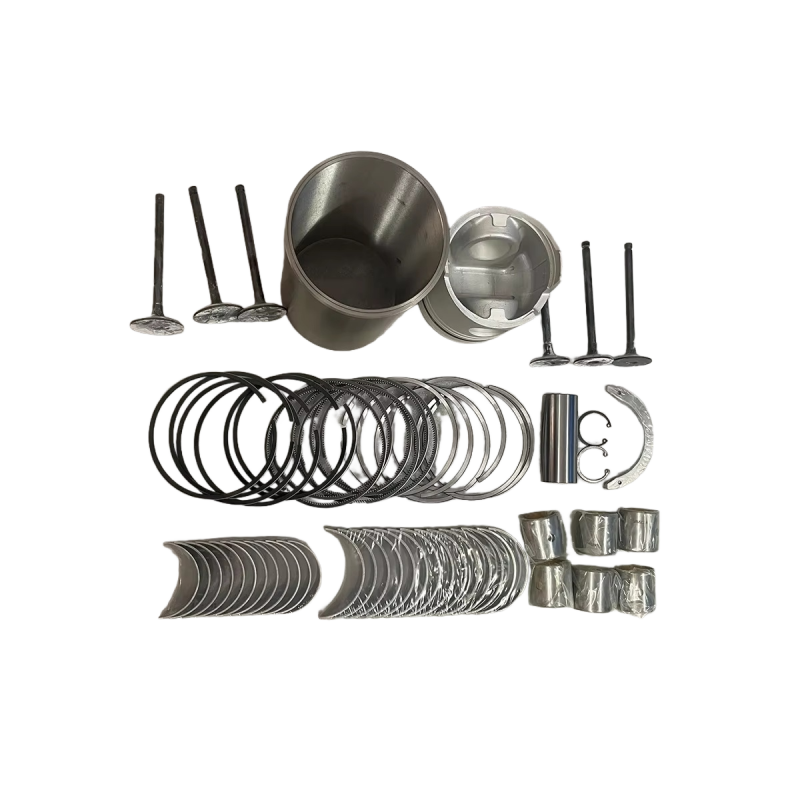 Mitsubishi 6D16 China Manufacturer Engine Overhaul Repair Kit Factory Piston Liner Kit Ring main bearing valve guide gasket kit Cylinder Block Cylinder Head assy Supplier